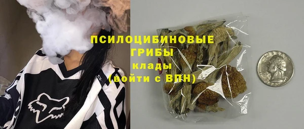 mdpv Белокуриха