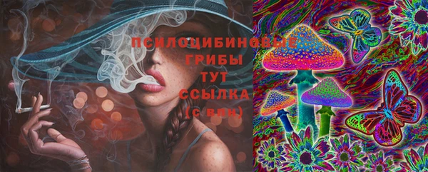 крисы Белоозёрский