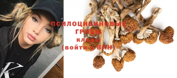 mdpv Белокуриха