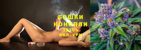 mdpv Белокуриха