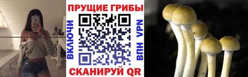 цена   Красный Холм  Галлюциногенные грибы ЛСД 
